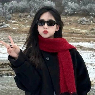 次世代机动警察：首都决战