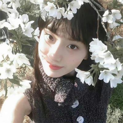 团子大家族第二季